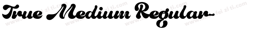 True Medium Regular字体转换